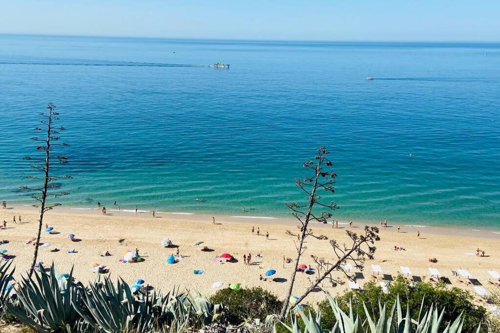 Estudio Vista Mar Com A/C E Acesso Privado A Praia Lejlighed Sesimbra Eksteriør billede